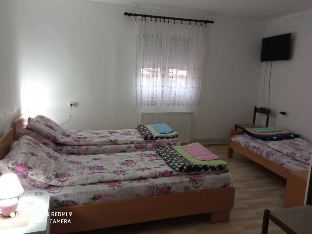 Guest House Vila Banjica Pirot Exterior foto